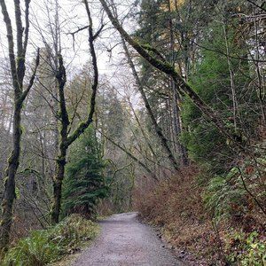 Meet your Posher, Rhonda